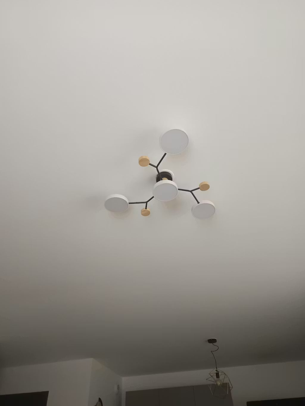 Sandra Lopes review image